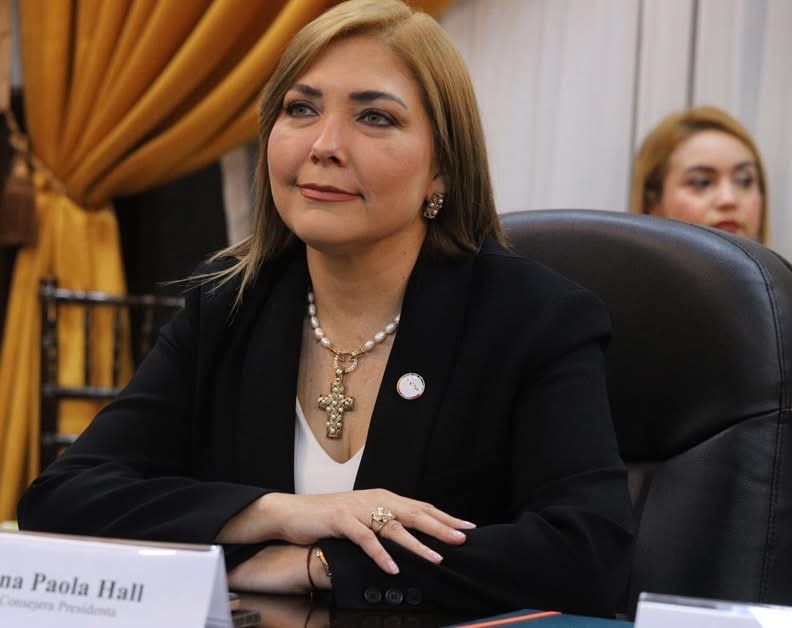Sí, Ana Paola Hall denunció ataques y amenazas en entrevista con CNN.