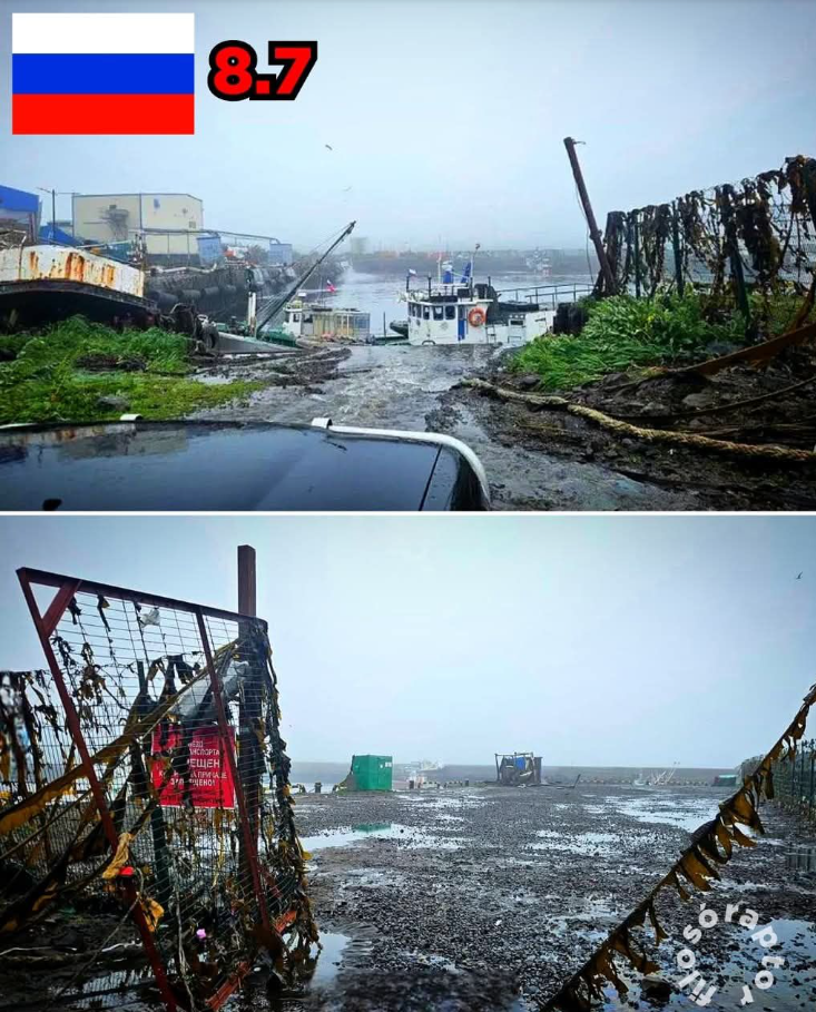Sí, el agua retrocedió al final del tsunami y se vio daños