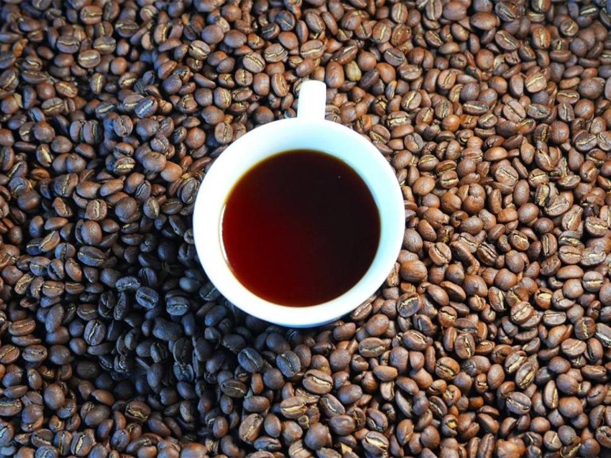 Si, Honduras será sede de Asamblea General de la Organización Internacional del Café.