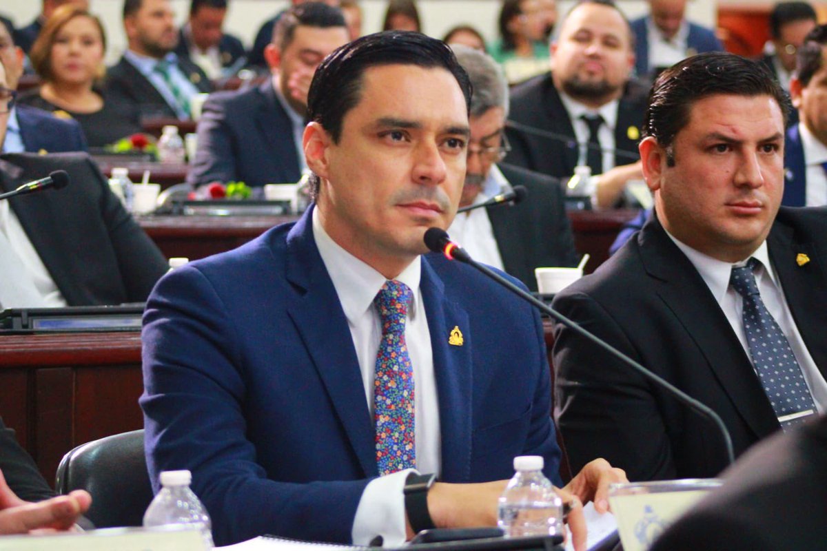 No, el diputado Bertrand no ha propuesto mociones contra la protección de las mujeres, violencia doméstica ni demandas de alimentos.