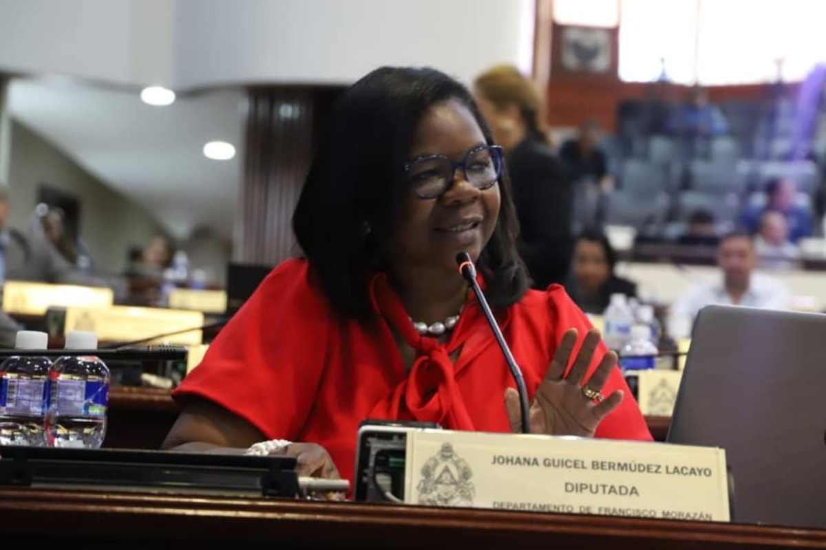 No, Johana Bermúdez no dijo que propondrá una ley para permitir que los diputados tengan 5 plazas