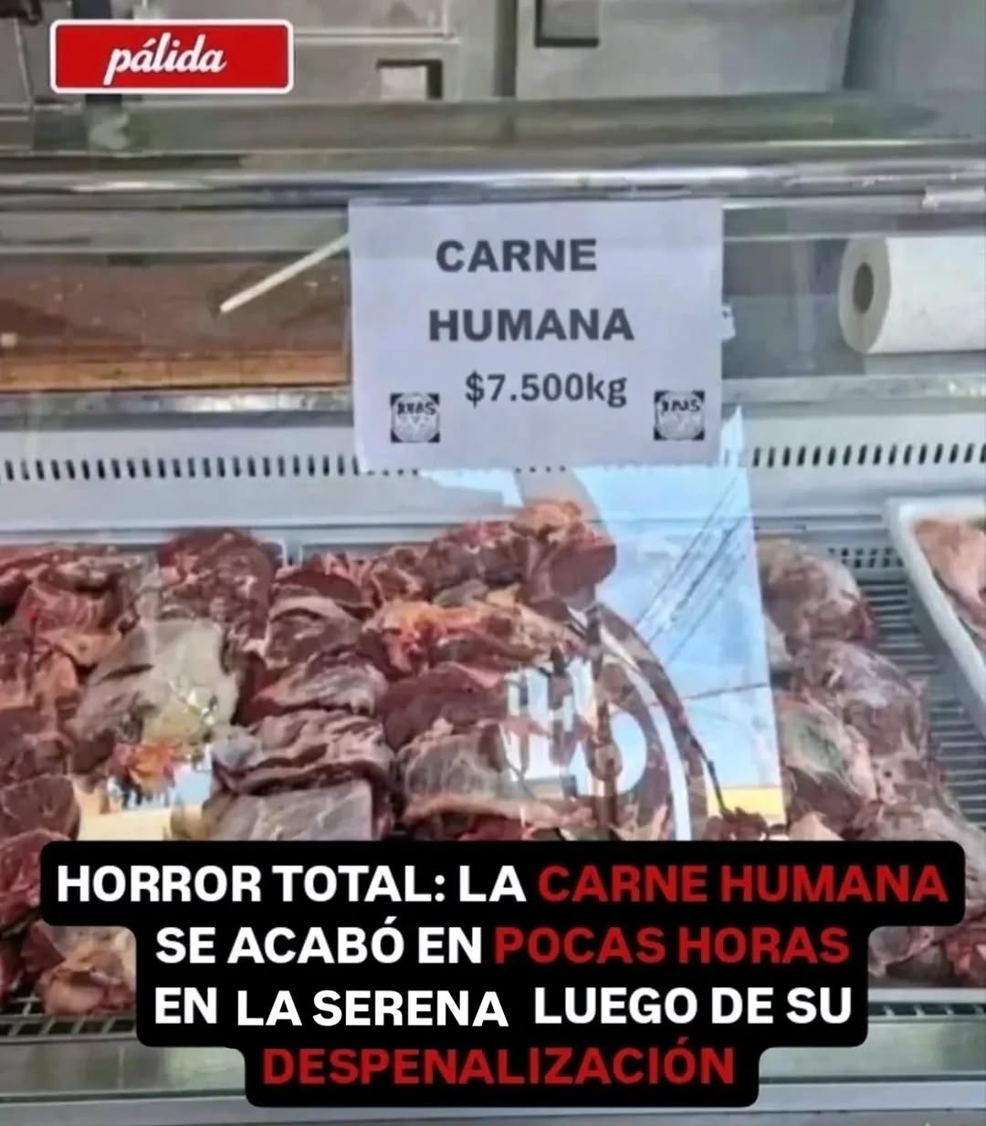 No hay evidencia de venta de “carne humana” en comunidad de Chile